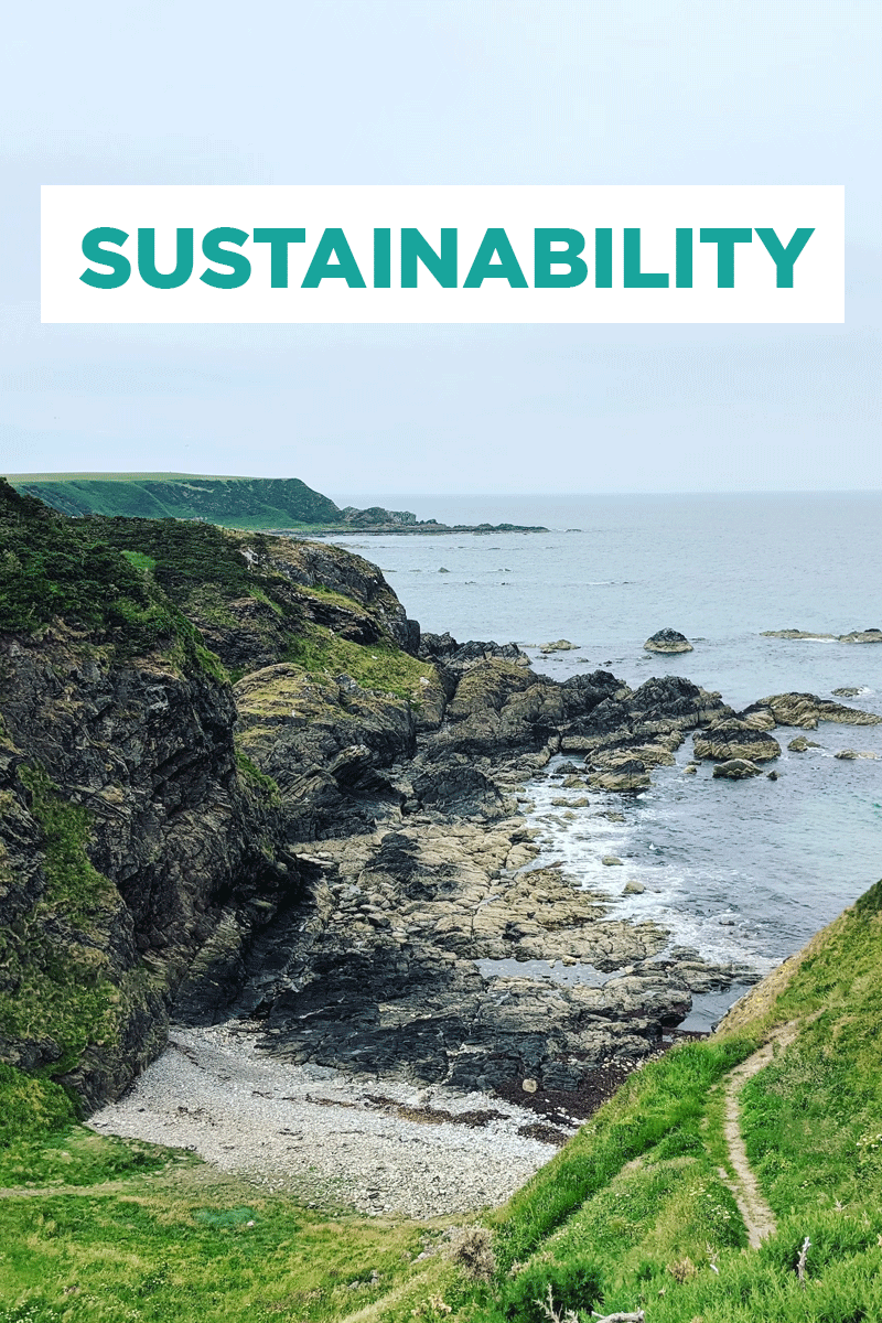 Strategies and Actions